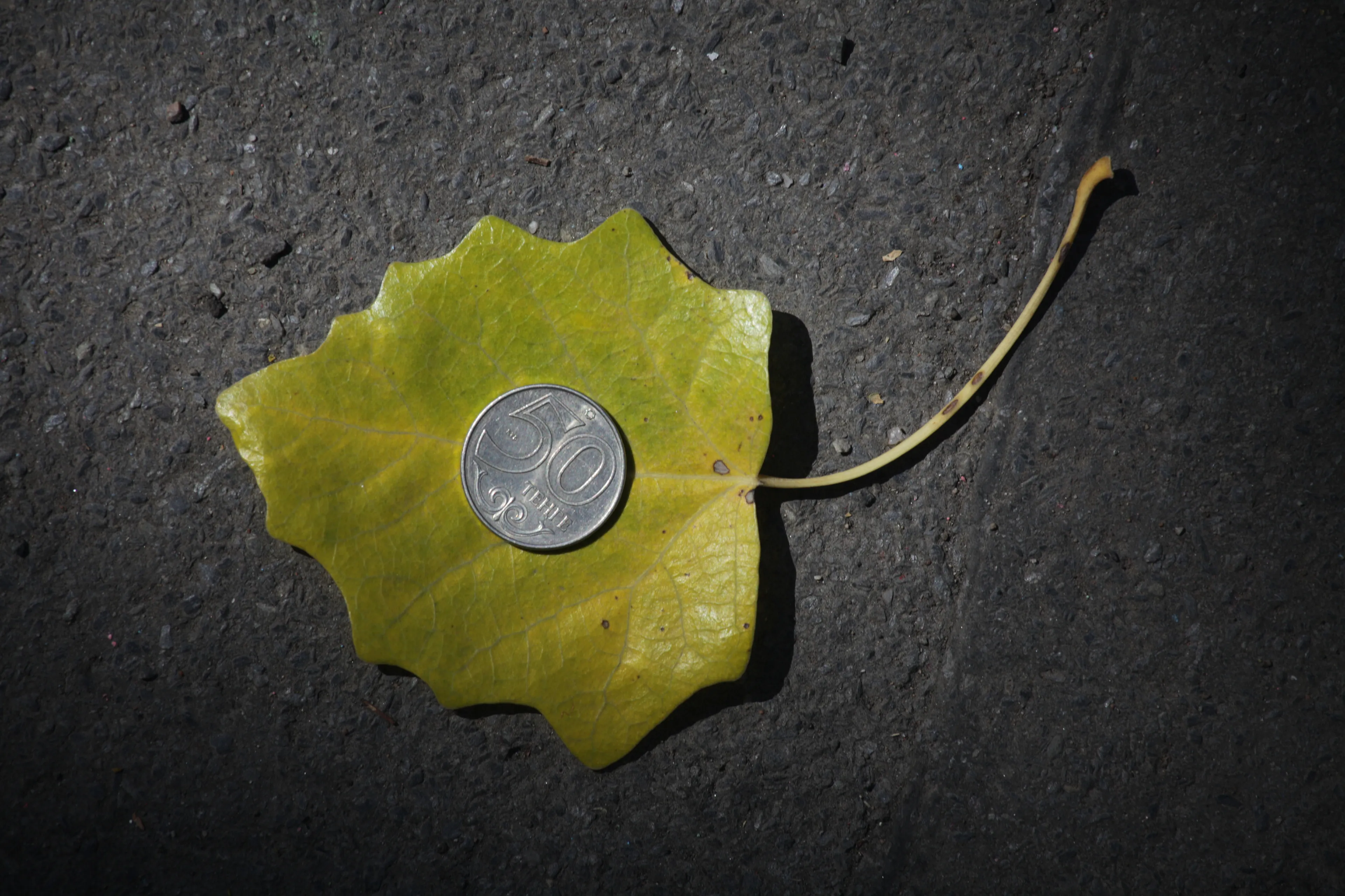 Капитал - Курс тенге с начала года ослаб более чем на 11%