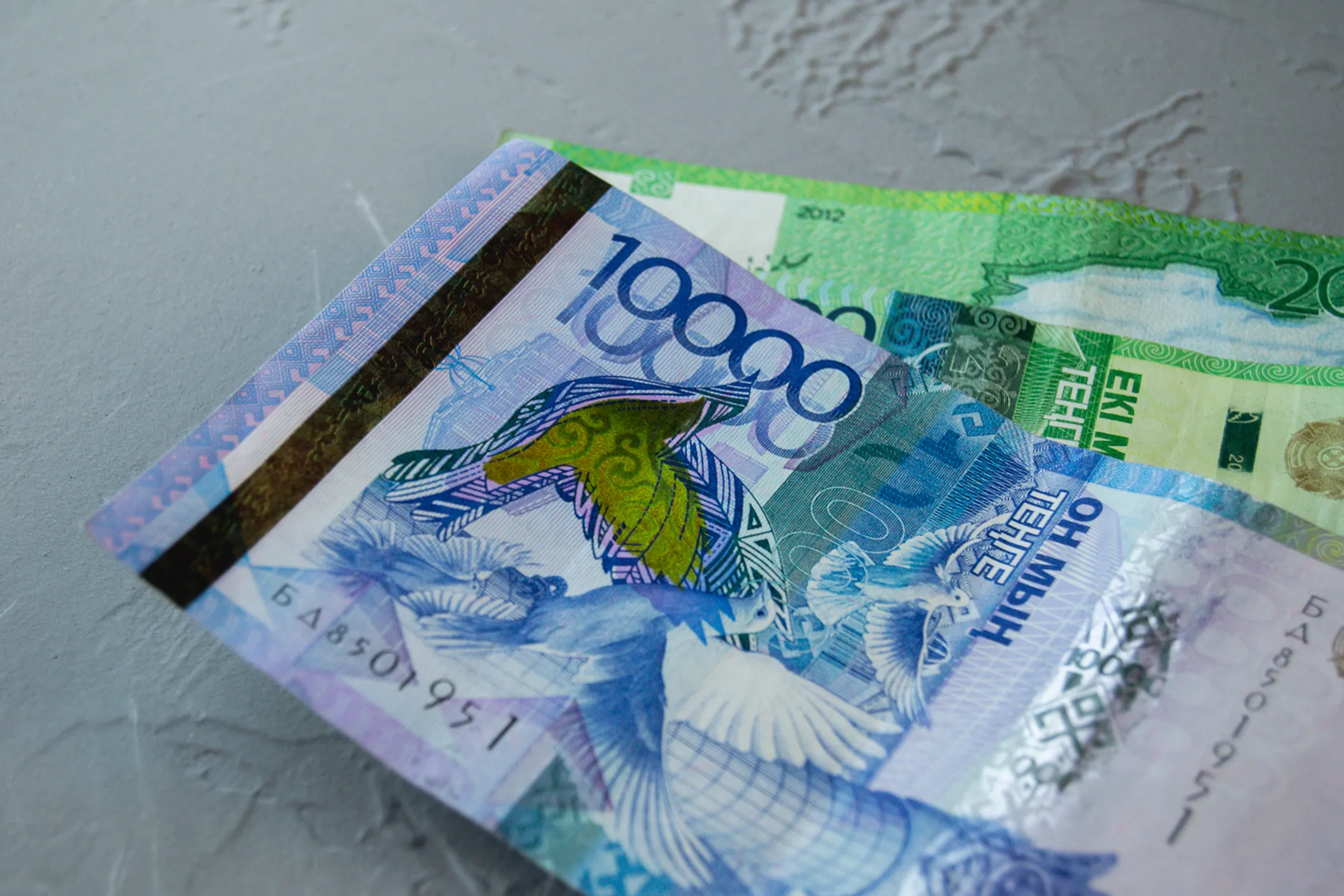 Фото: Валерия Змейкова