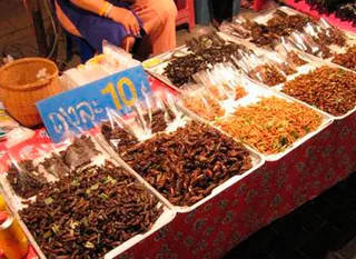 Капитал - Бедных накормят насекомыми