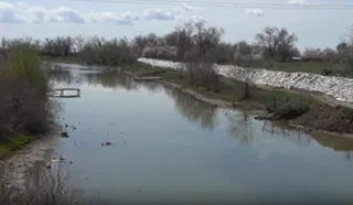 Скрин из видео 