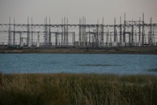 Фото: Руслан Пряников