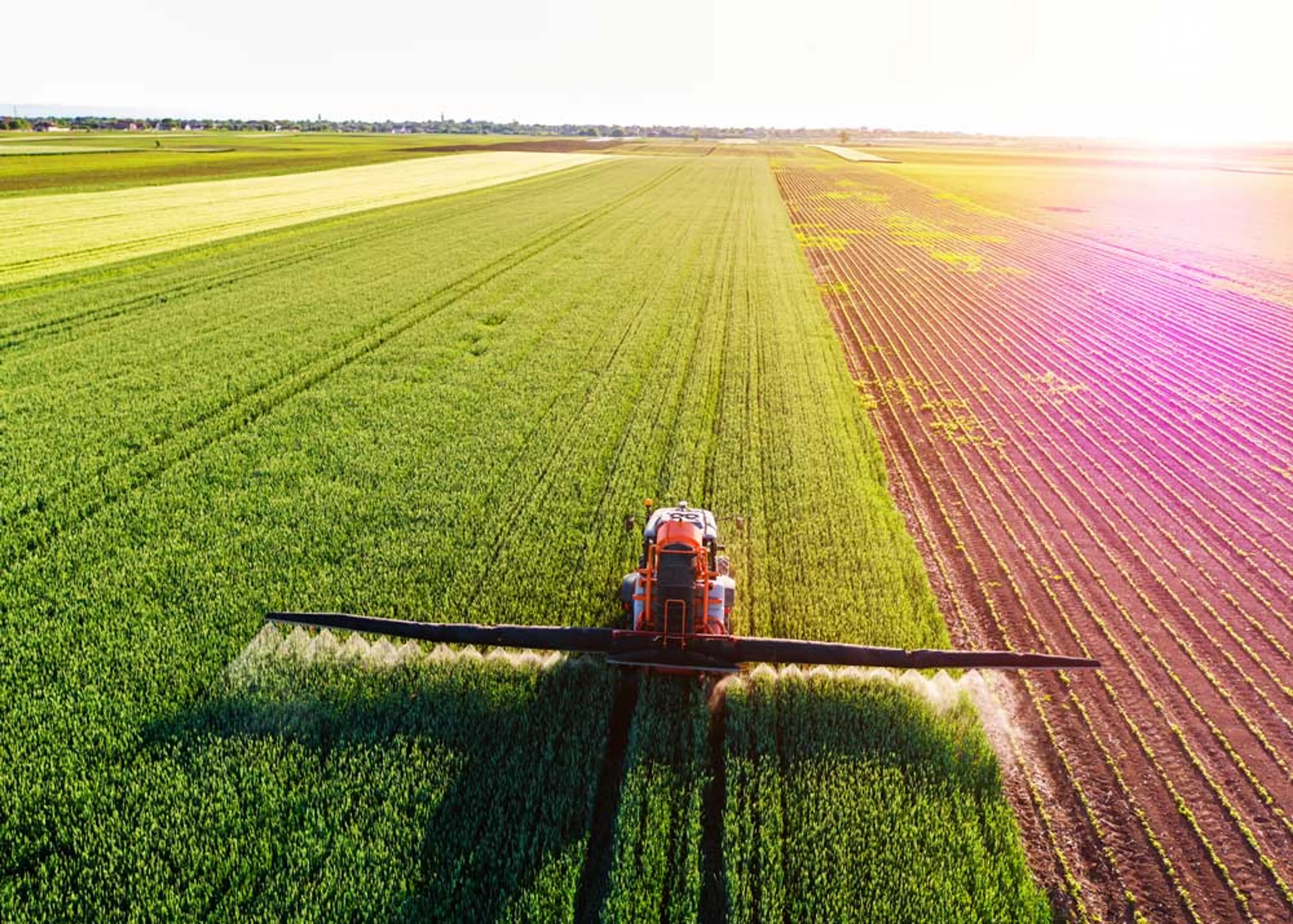 Капитал - Депутаты предлагают создать Агропромбанк