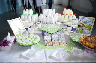 Капитал - В ЮКО запустили первое производство по переработке козьего молока