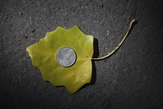 Капитал - Курс тенге с начала года ослаб более чем на 11%