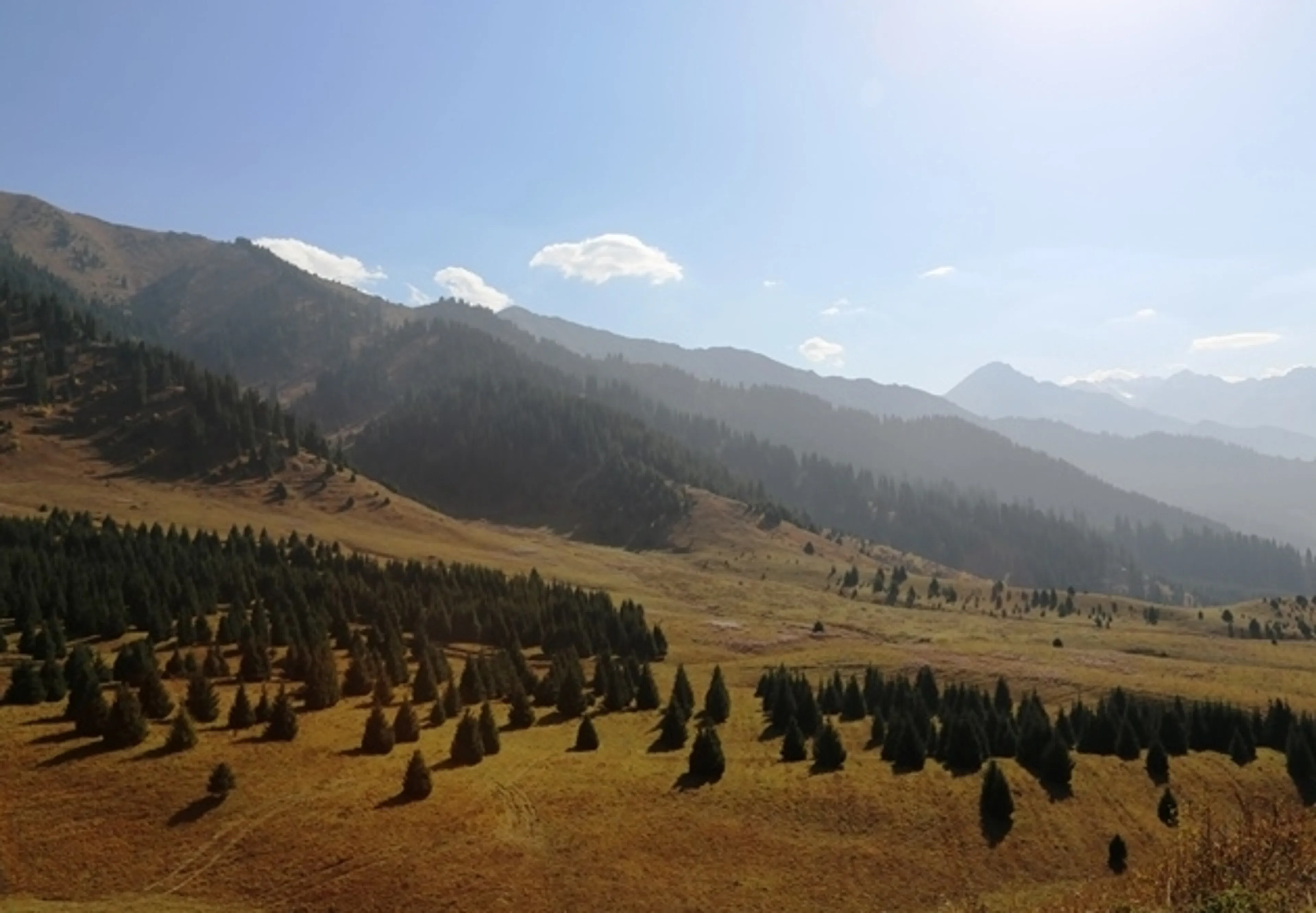 Капитал - Кому достались земли Иле-Алатауского нацпарка?