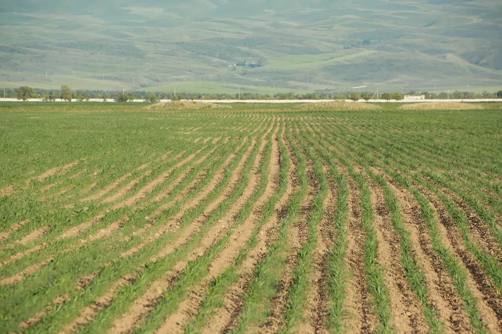 Фото: Руслан Пряников