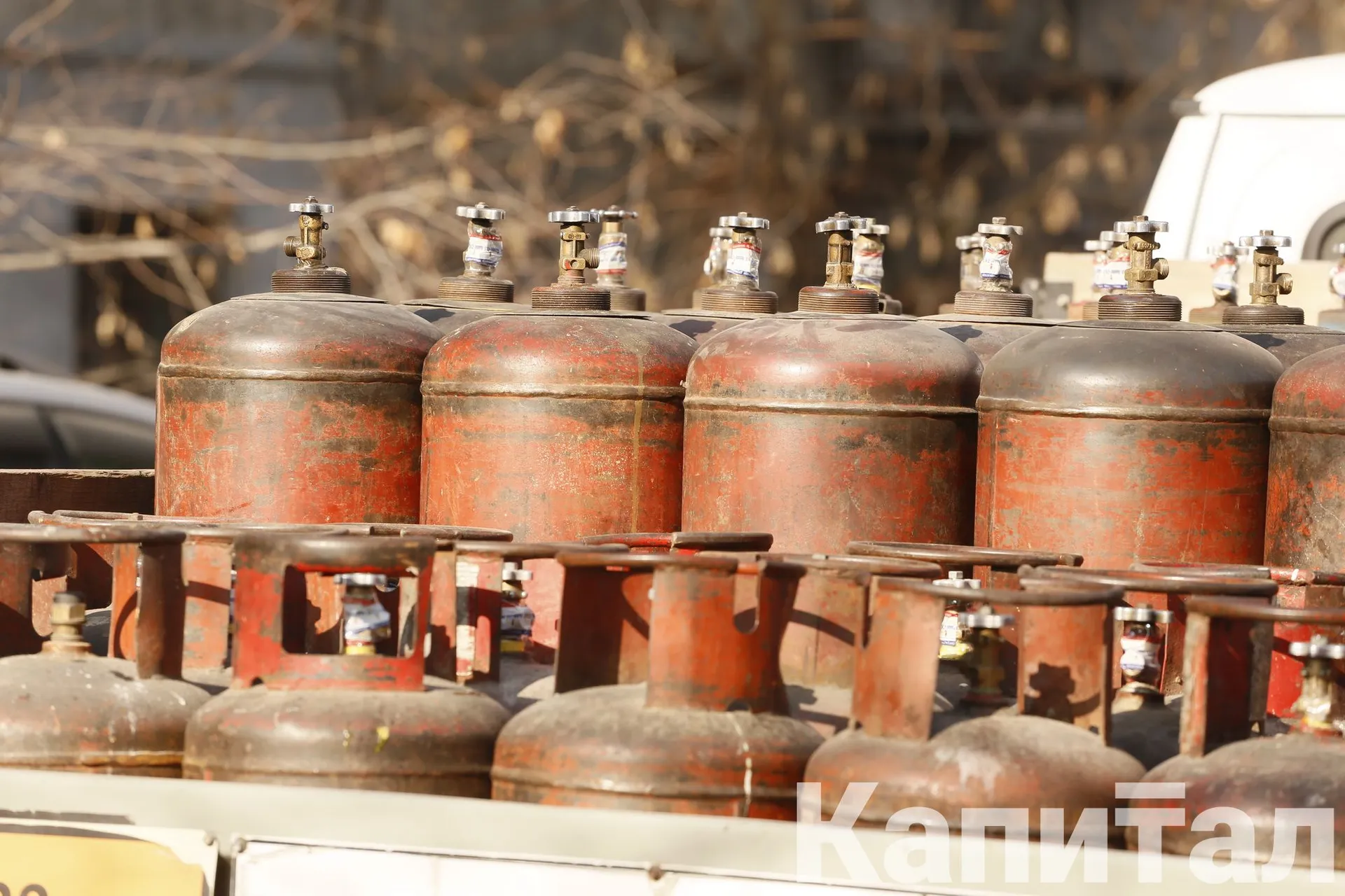 Фото: Руслан Пряников