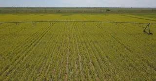 Фото: Министерство водных ресурсов и ирригации РК 