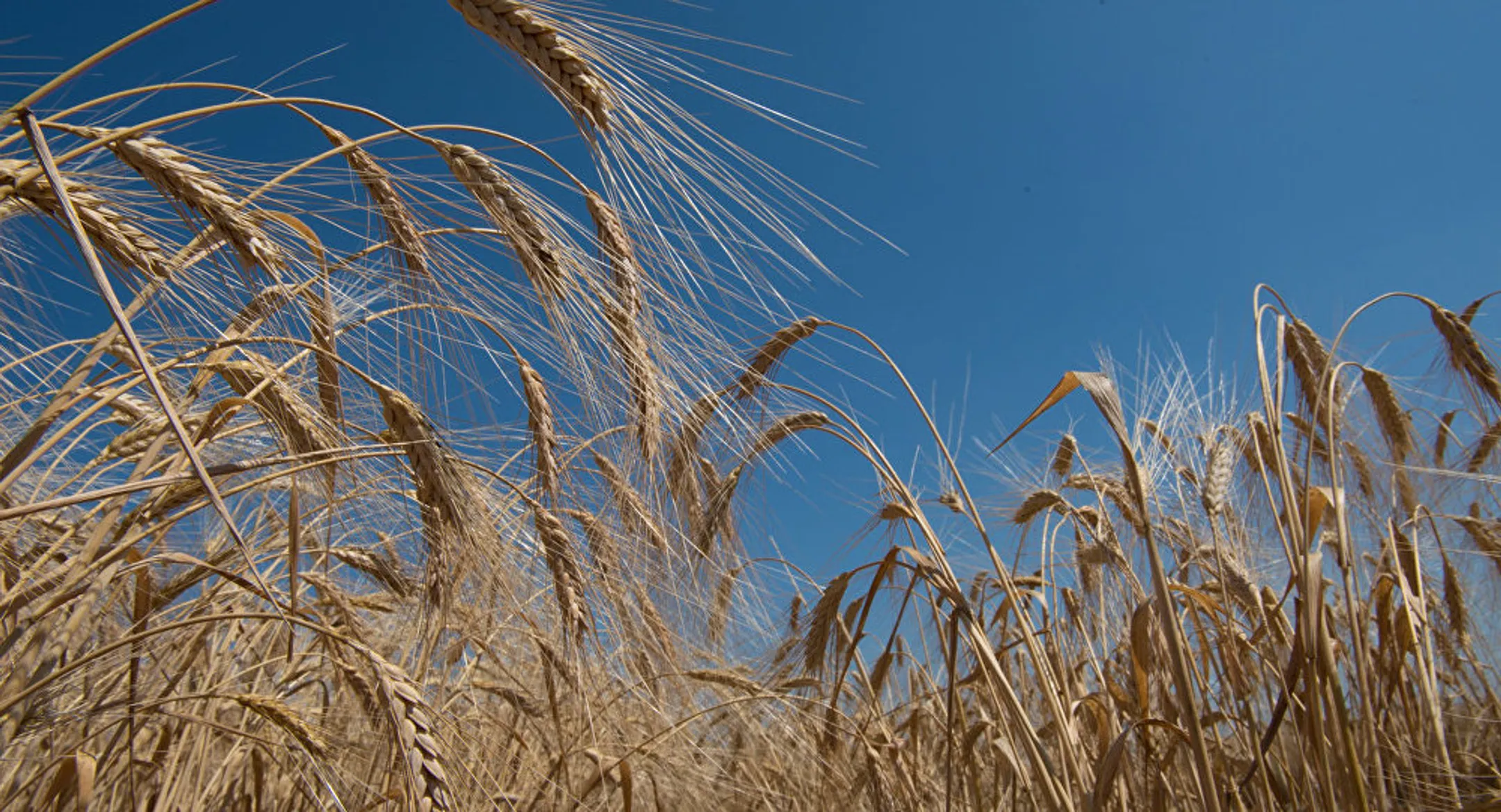 Изображение Kapital.kz