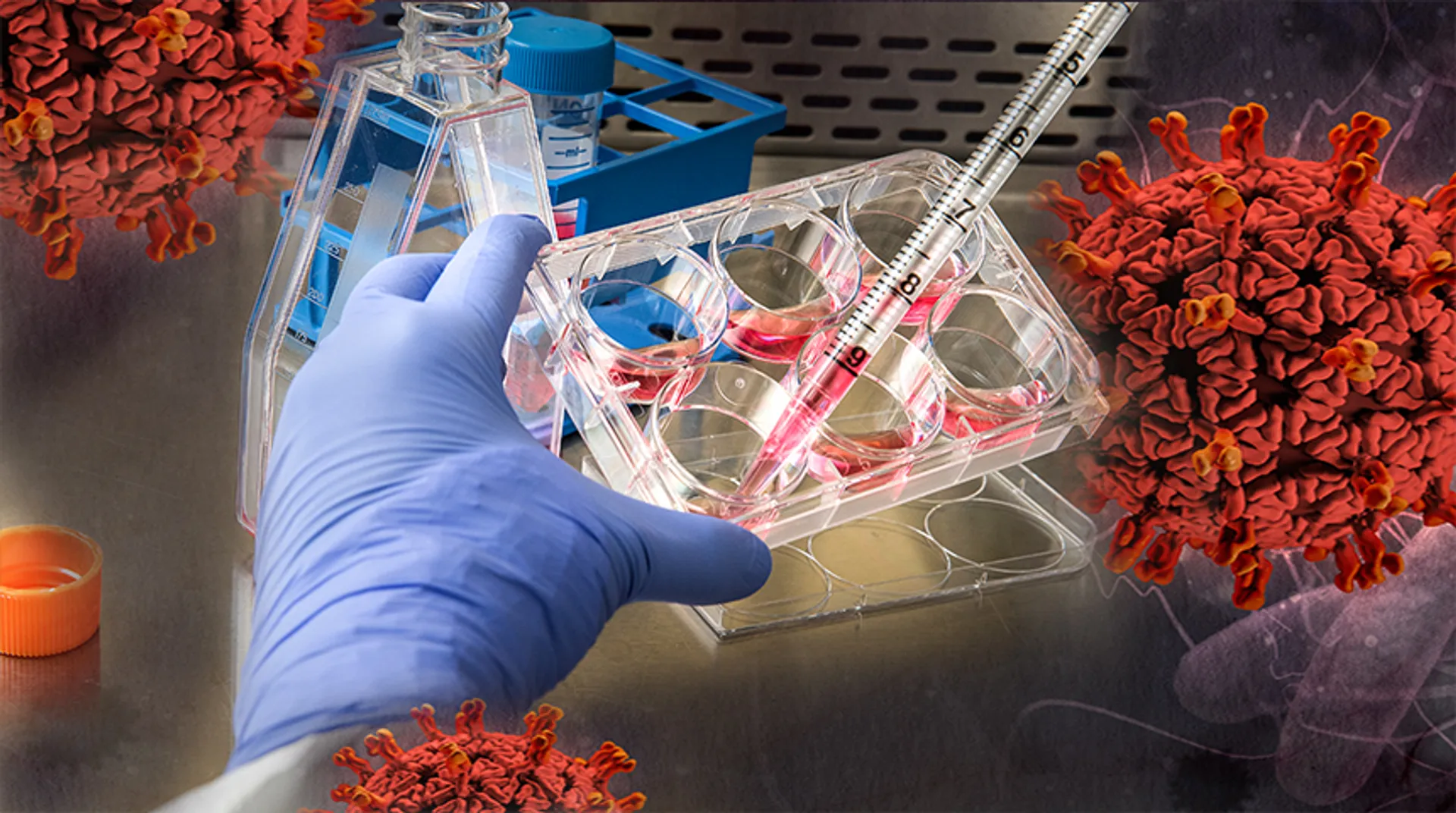 Фото: Kapital.kz