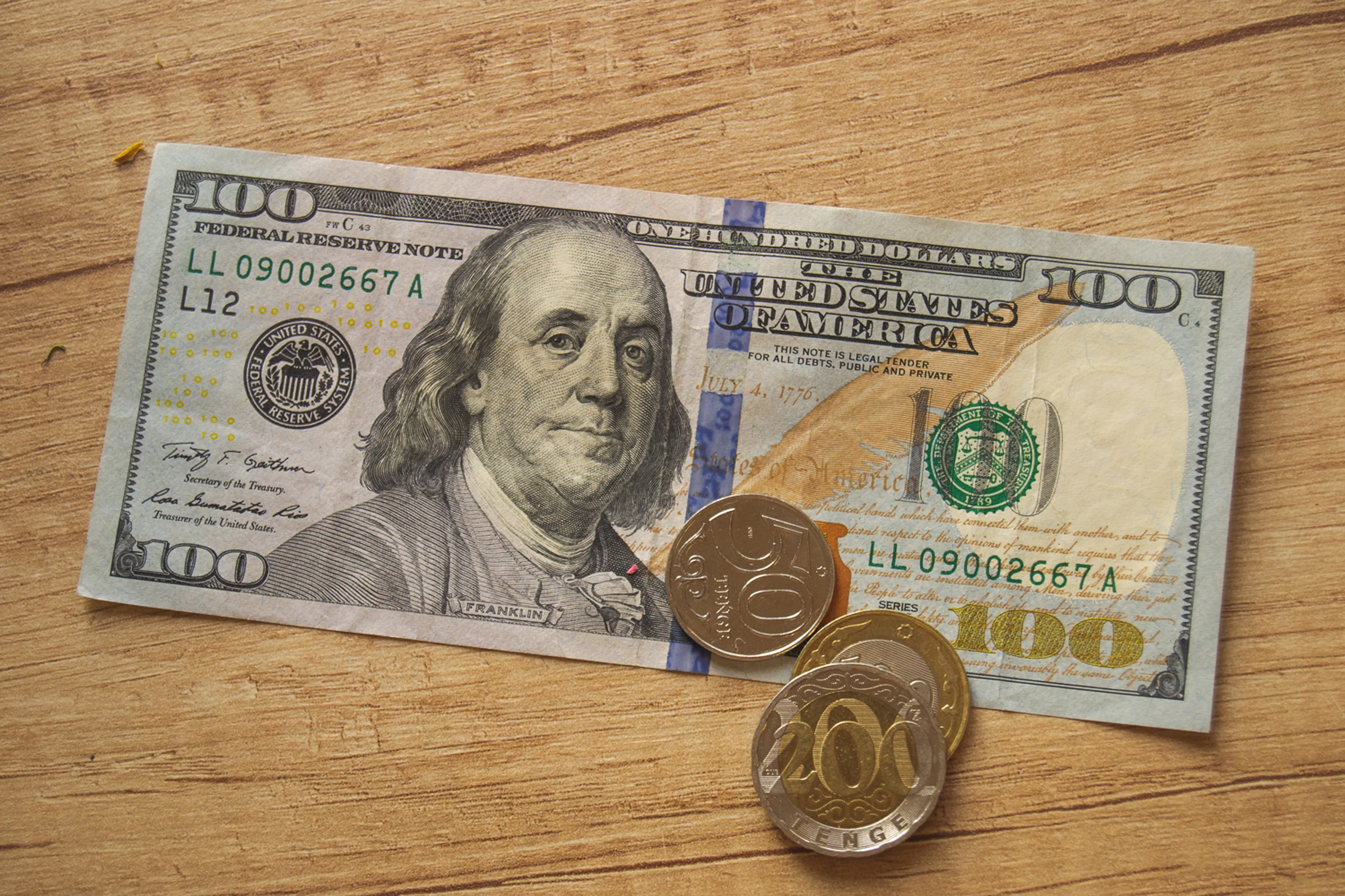 Фото: Валерия Змейкова 