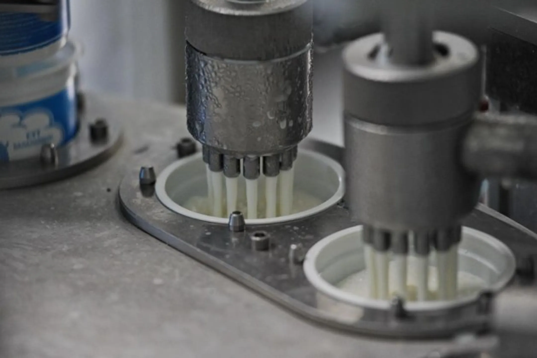 Инвестиции в производство продуктов питания выросли на 37% - Image Kapital.kz