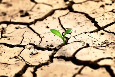 Через 40 лет Казахстан столкнется с дефицитом воды