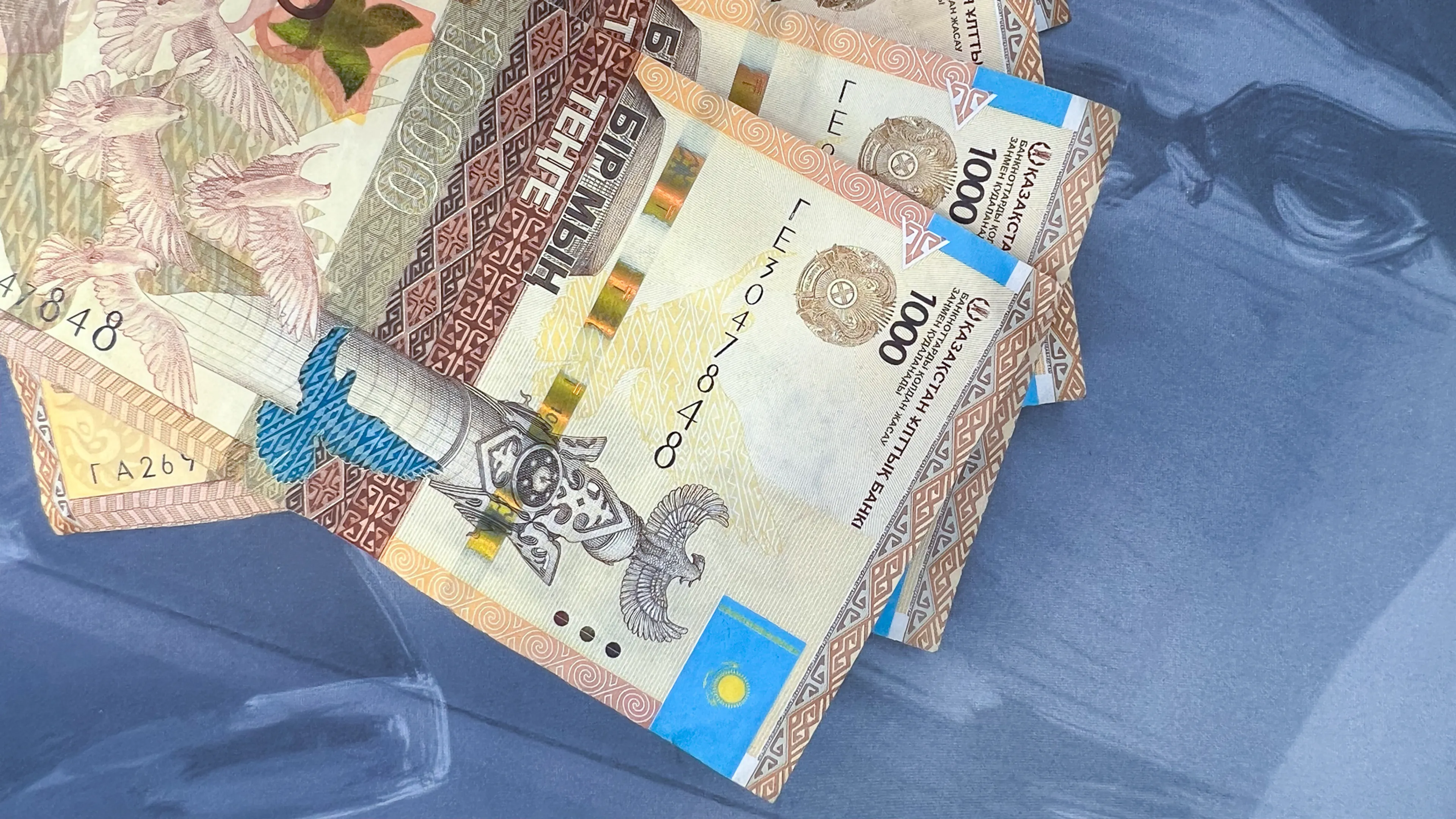 Фото: Валерия Змейкова