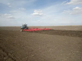 Капитал - В Актюбинской области засеют 600 тысяч гектаров