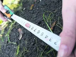 Капитал - В Акмолинской области свыше 6 тыс. «бесхозных» участков