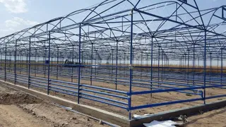 Капитал - В Туркестанской области построят высокотехнологичную теплицу