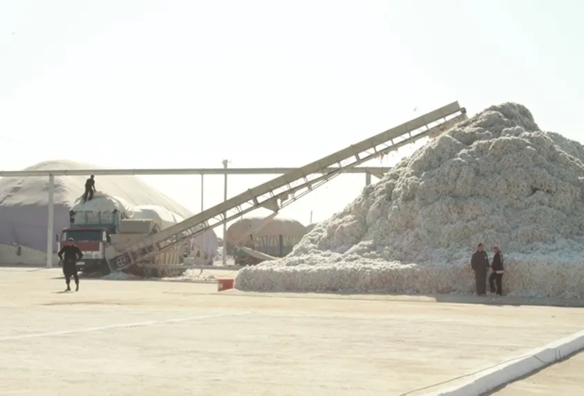 Капитал - Переработчикам хлопка развяжут руки