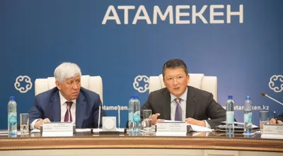 Сроки услуг для бизнеса сократятся с 50 до 3 дней — Тимур Кулибаев