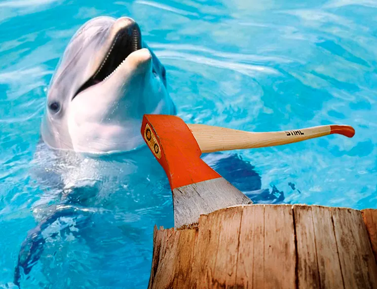 Капитал - Аренду нацпарков РК сравнили с уничтожением дельфинов