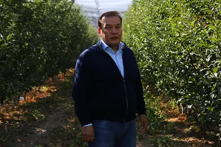 Капитал - Яблочный бизнес: Как реализовать передовой проект