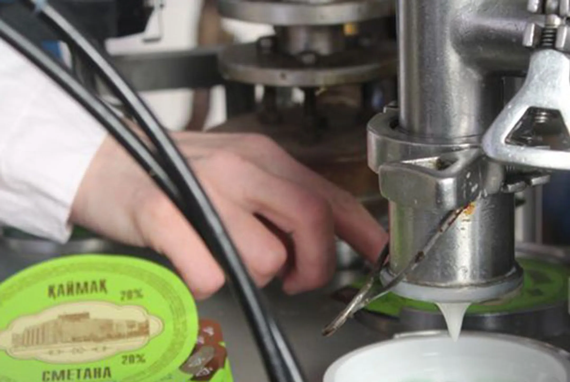 Предприятиям по переработке молока в ЗКО не хватает сырья - Image Kapital.kz