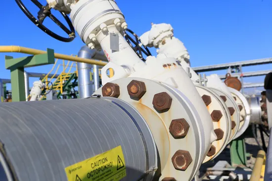 Фото: Руслан Пряников