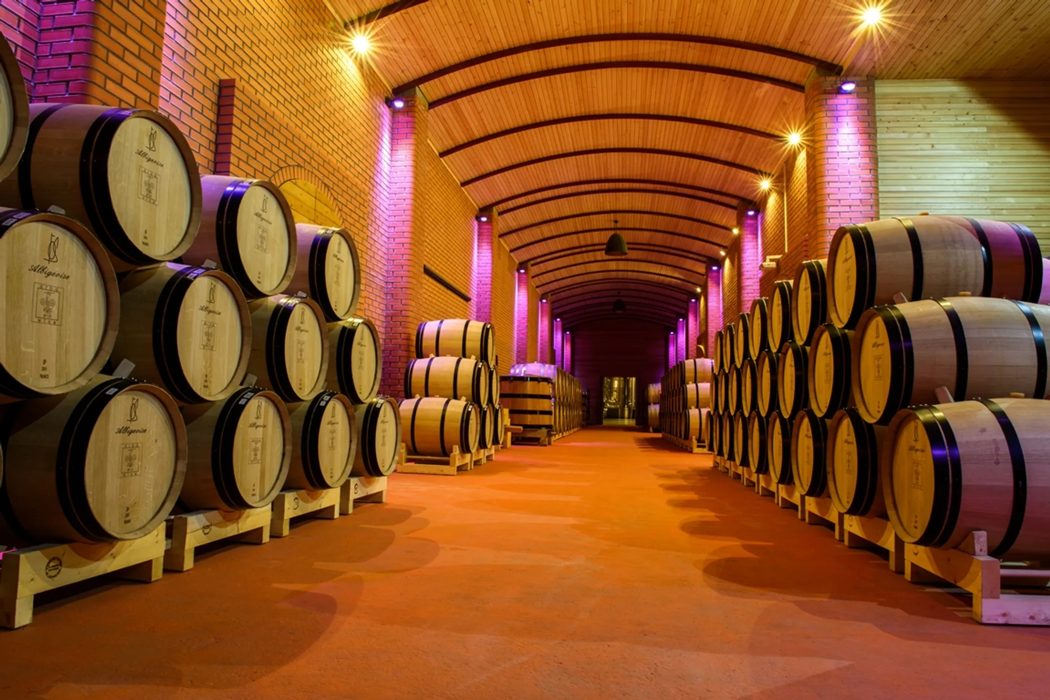 От зарождения до вершин: путь Arba Wine за 10 лет - Image Kapital.kz