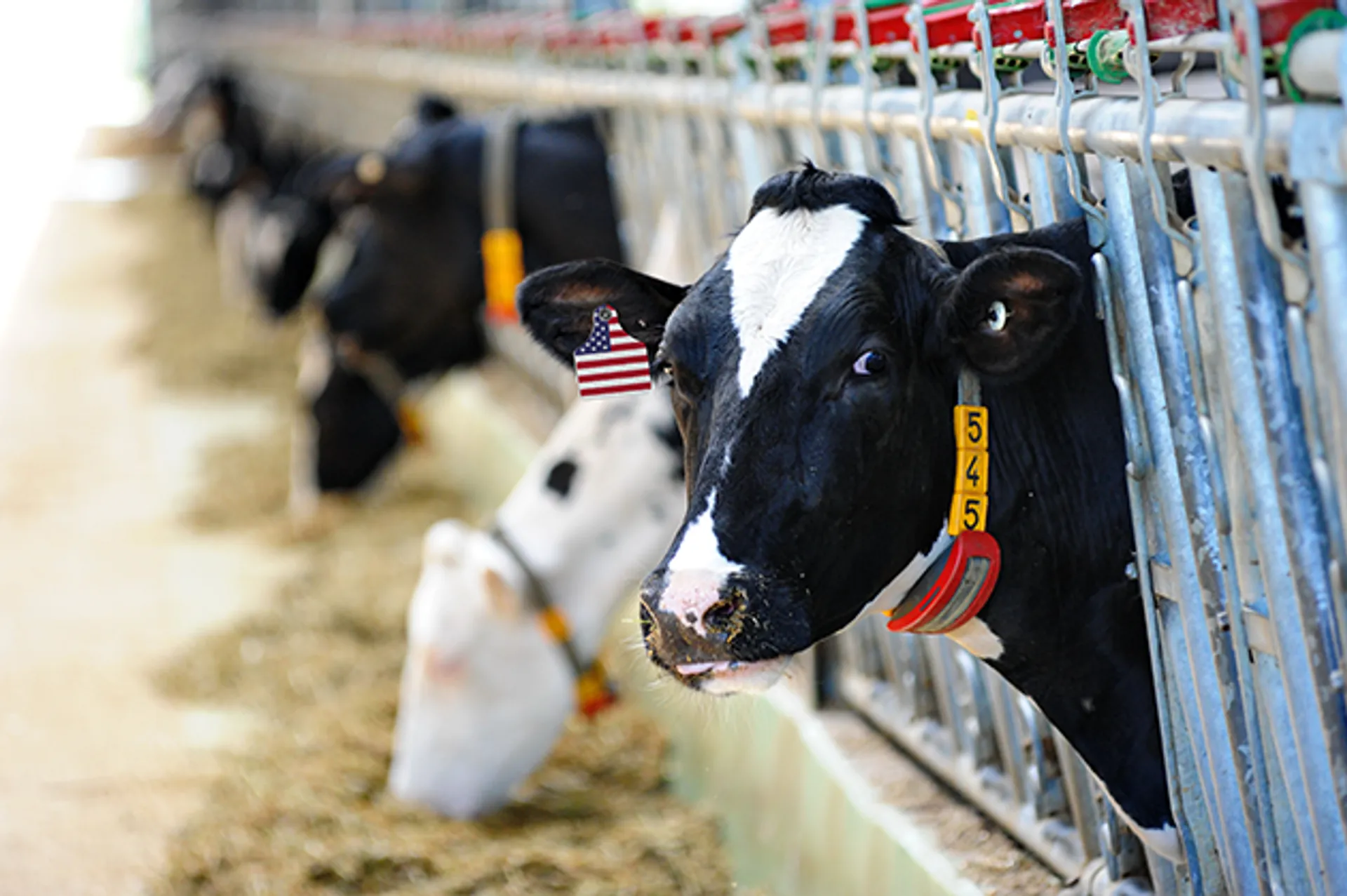 Капитал - Казахстан намерен привлечь американские инвестиции