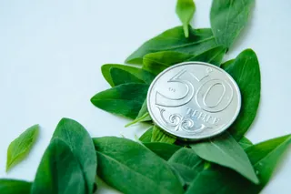 Фото: Валерия Змейкова