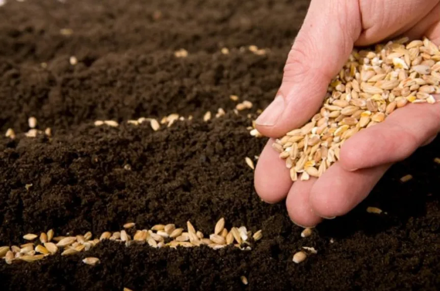 Капитал - Продкорпорация профинансировала посевную на 333 млн тенге