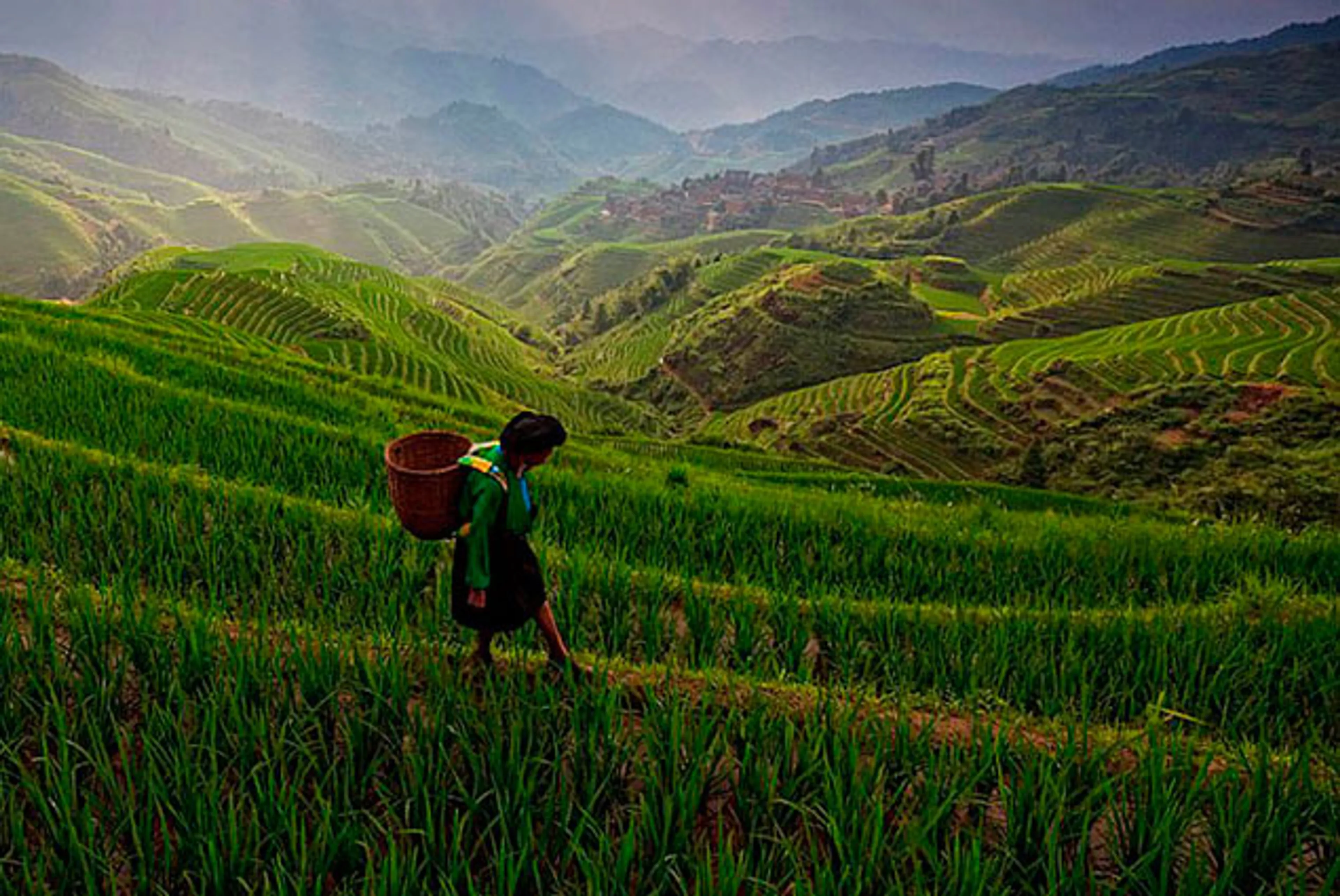 Капитал - Китай скоро скупит Украину