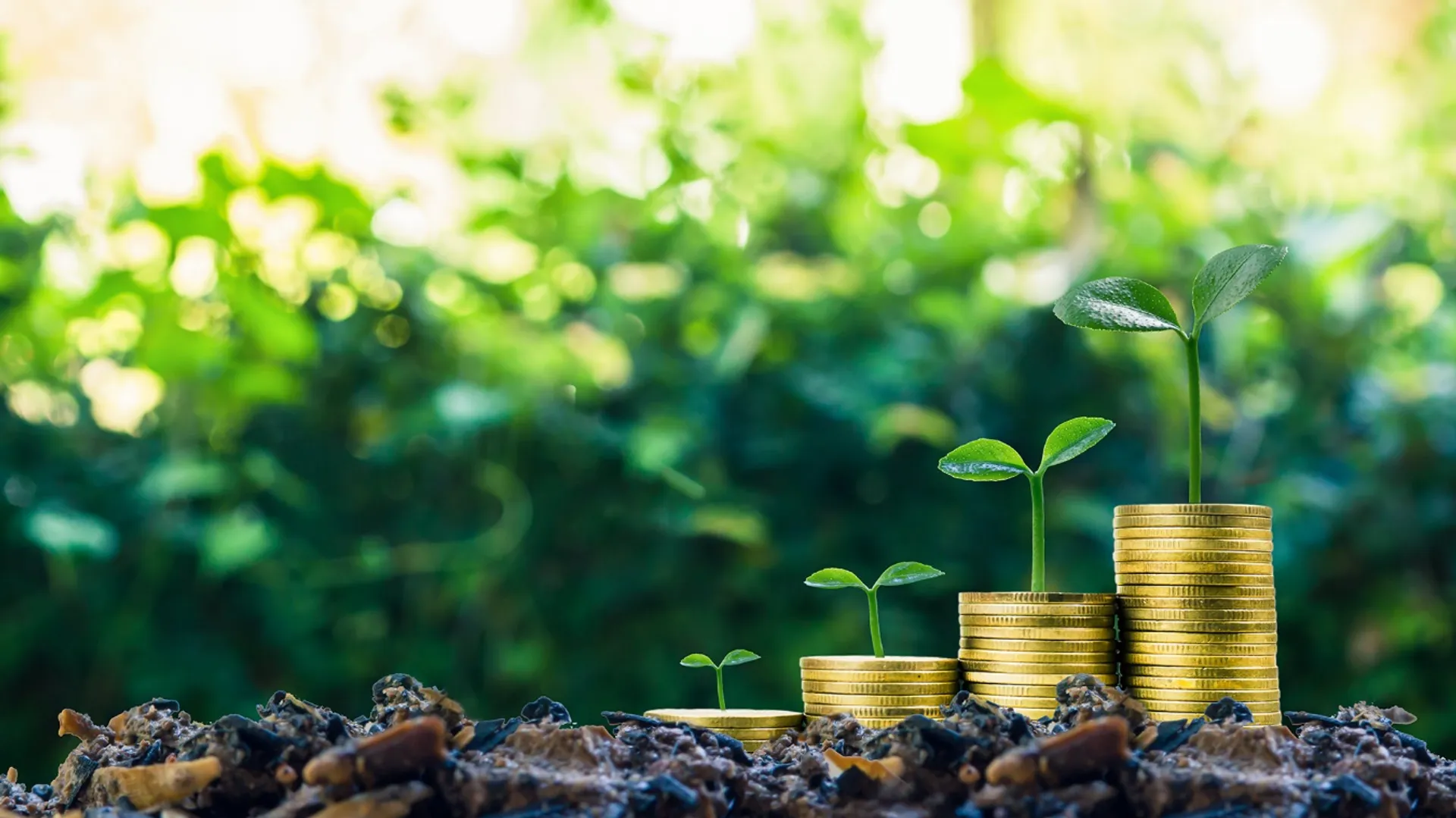 Капитал - Возможности зеленого финансирования для бизнеса