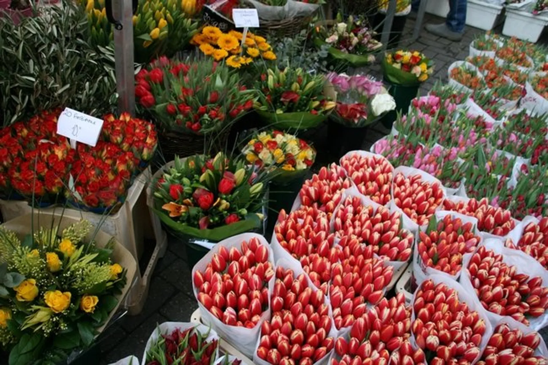 Капитал - Казахстан импортировал цветов почти на $30 млн.