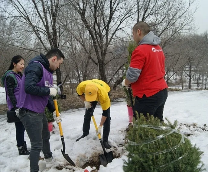 Капитал - Отправь SMS и посади дерево