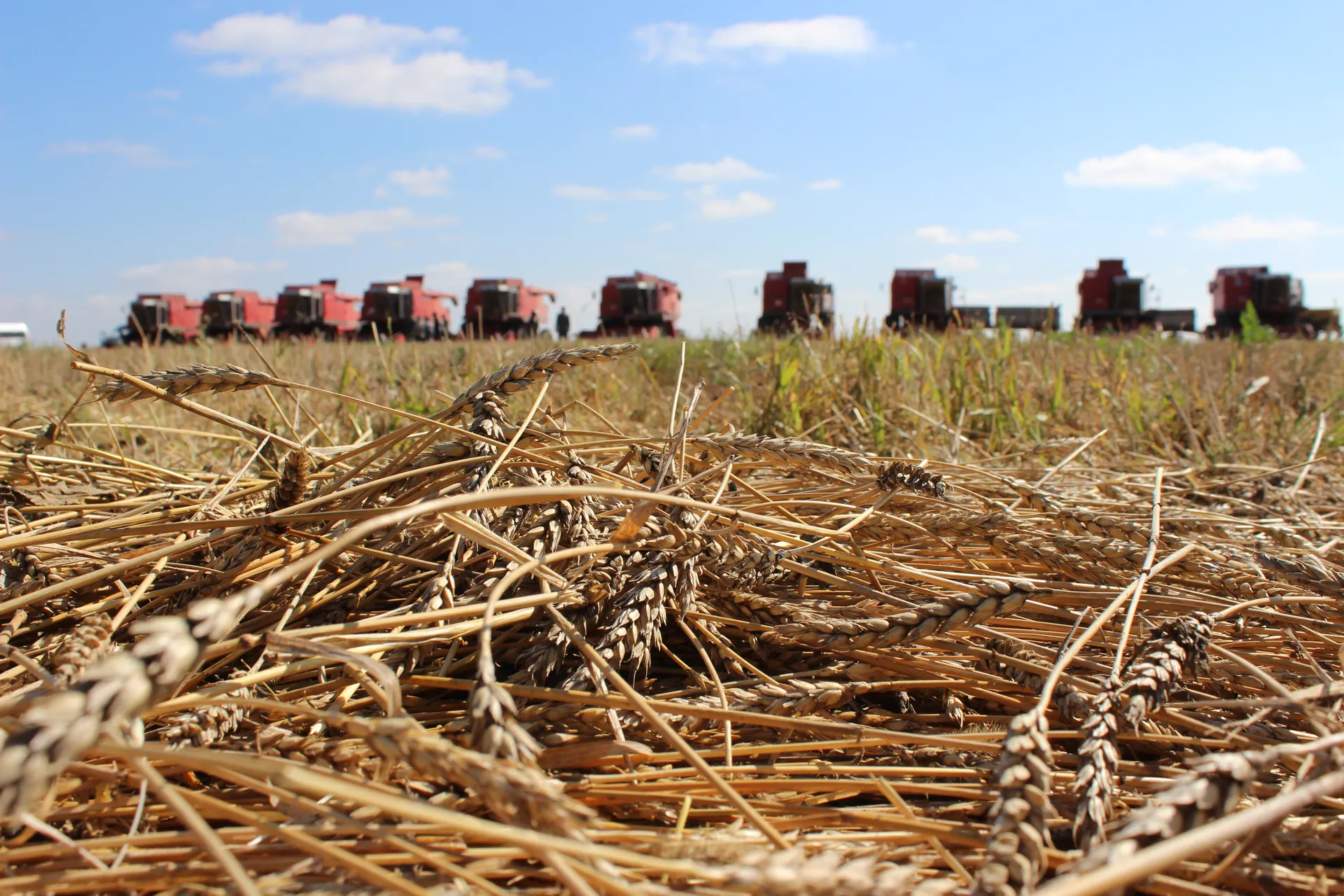 Капитал - Аграрии получили от КазАгро свыше 69 млрд. тенге