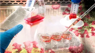 Капитал - Выявлено 39 новых случаев COVID-19