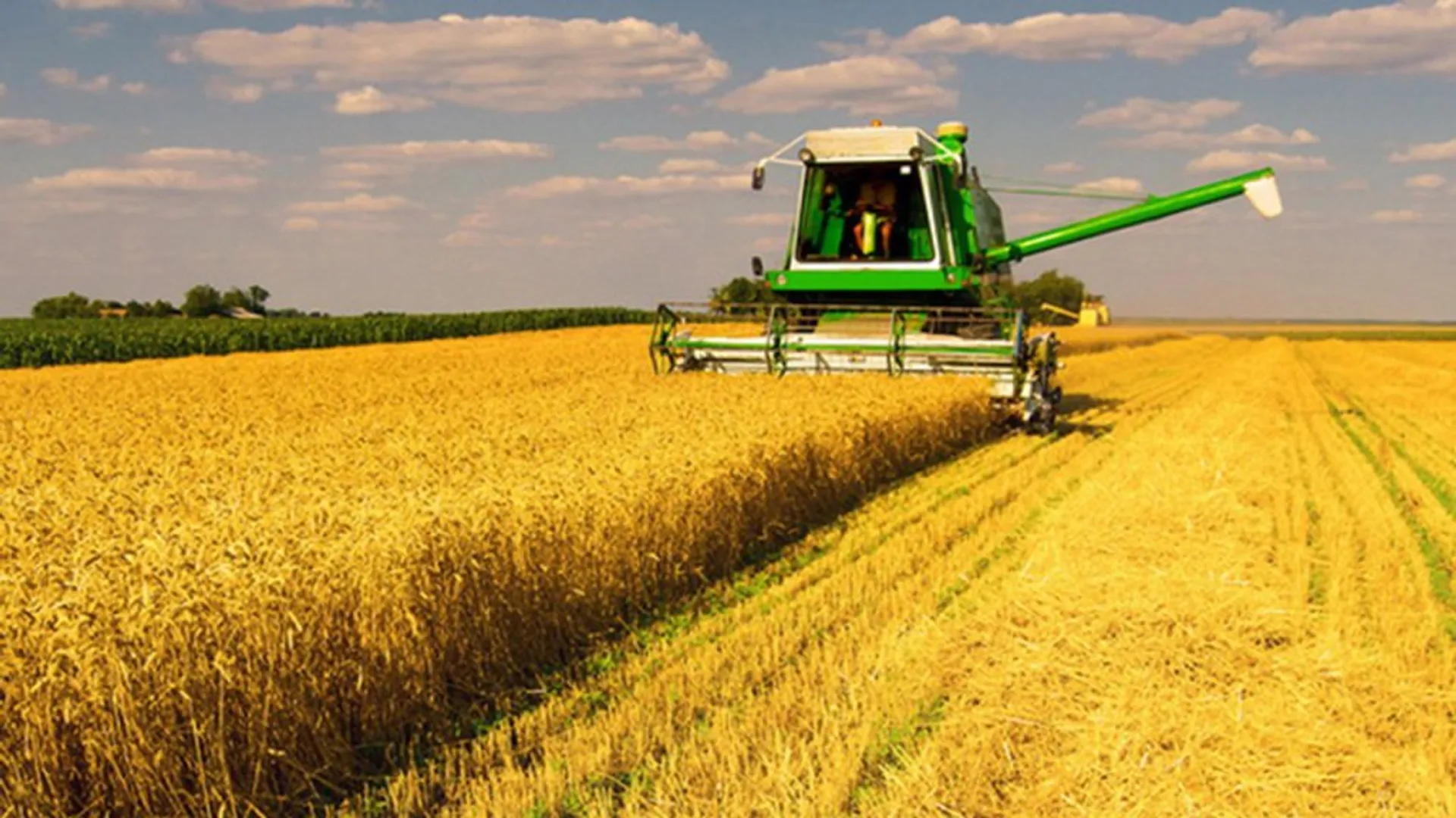 Капитал - Казахстан привлечет $200 млн китайских инвестиций в сектор АПК