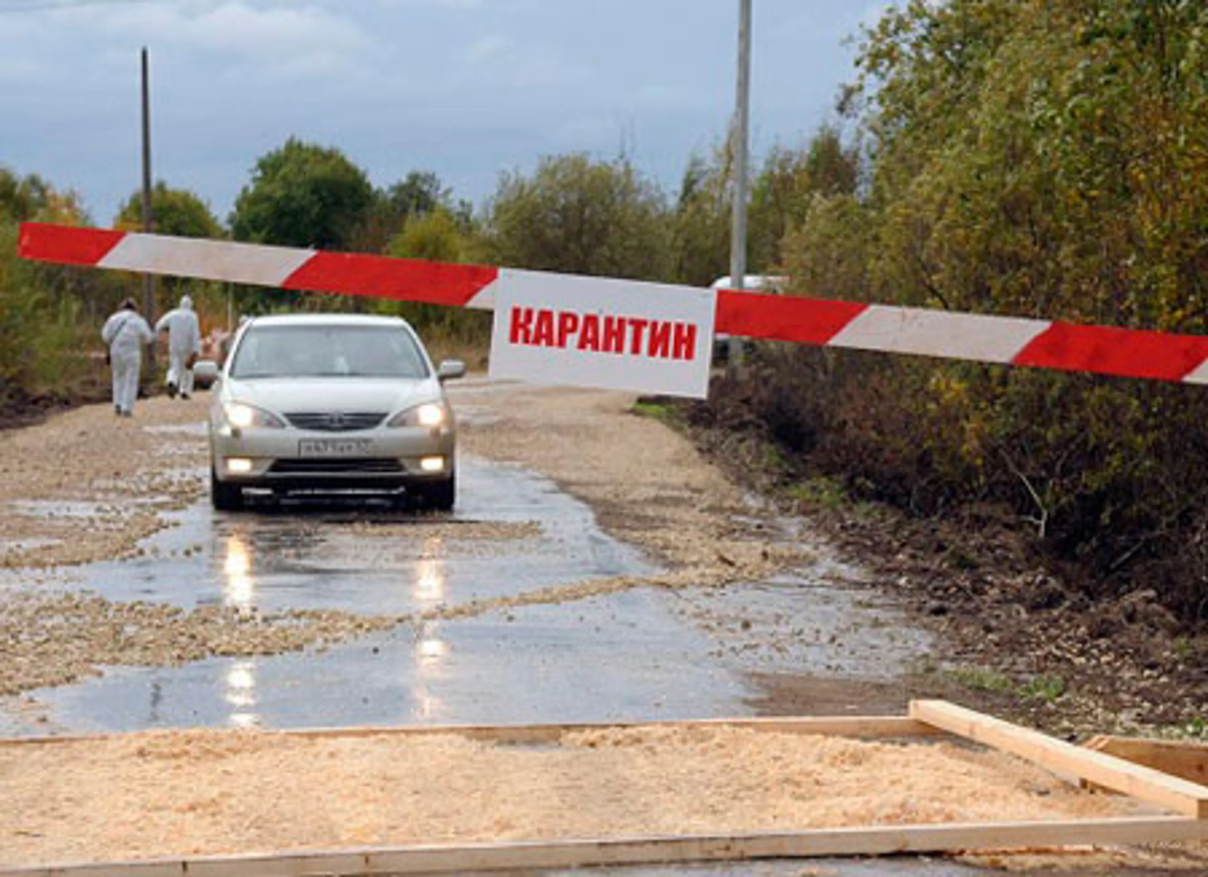 Капитал - Бубонная чума может прийти в Казахстан