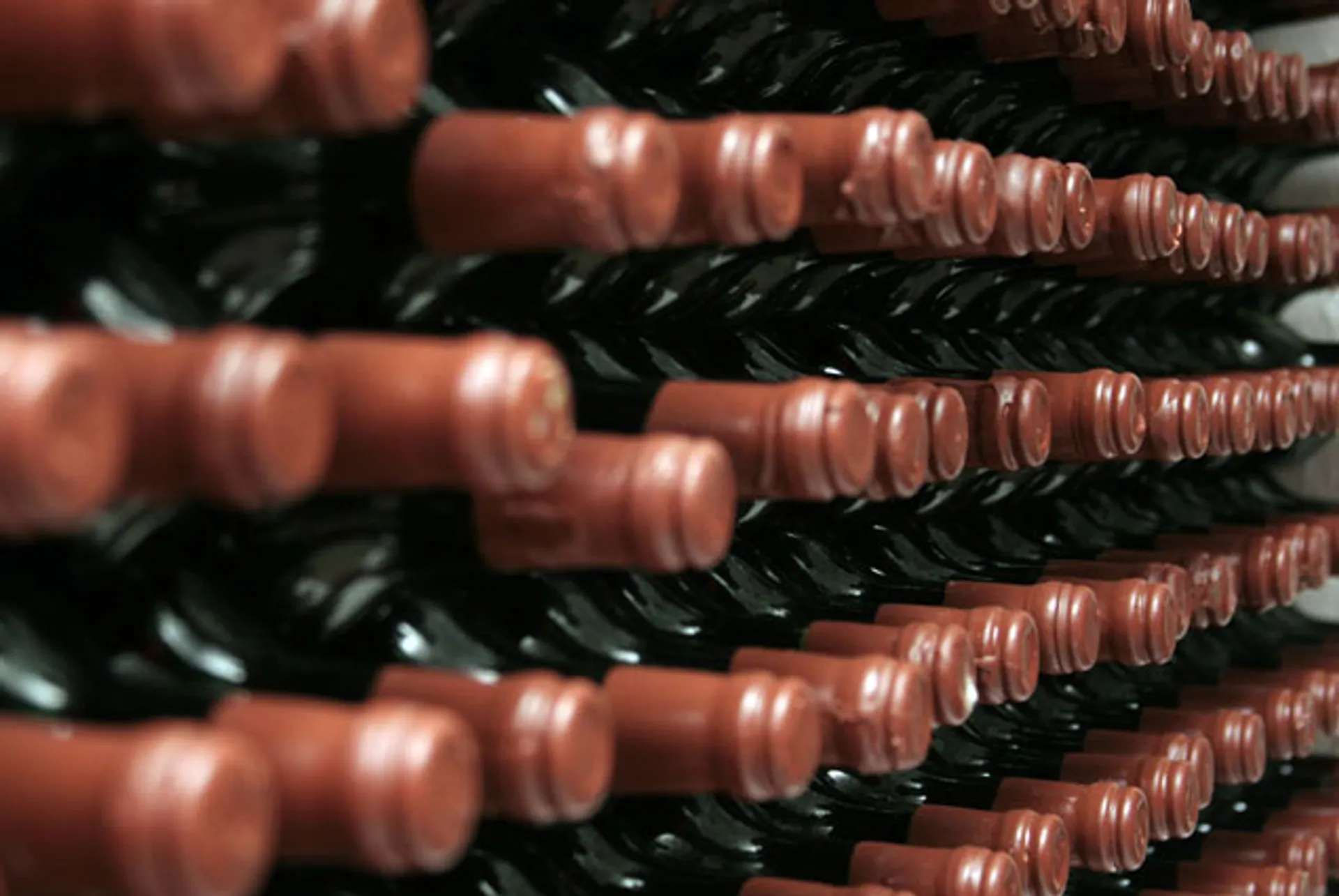 Капитал - Кыргызстан намерен занять в ТС свою нишу