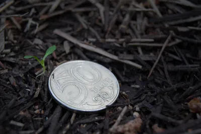 Фото: Валерия Змейкова