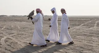 Капитал - Шейхам разрешили охотиться на краснокнижных дроф-красоток в Казахстане