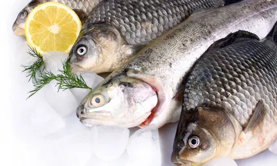 Цены на рыбную продукцию в Казахстане значительно выросли