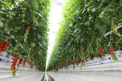 В Актюбинской области иностранные инвестиции приносят плоды