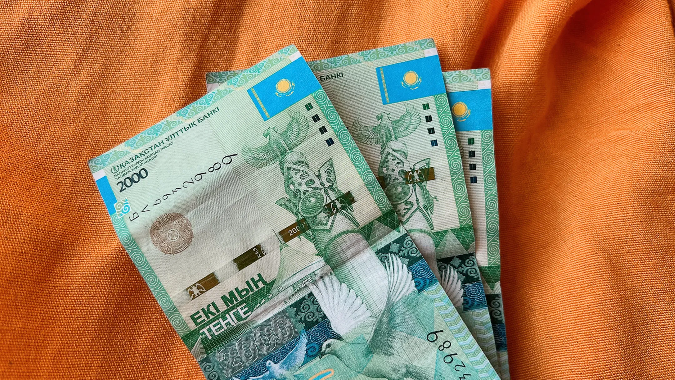 Фото: Валерия Змейкова