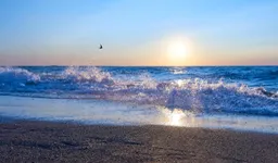 Фото: пресс-служба акима области Жетісу, архив