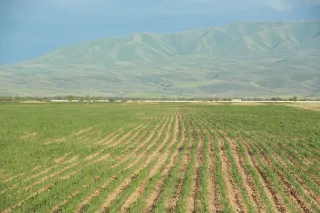 Фото: Руслан Пряников