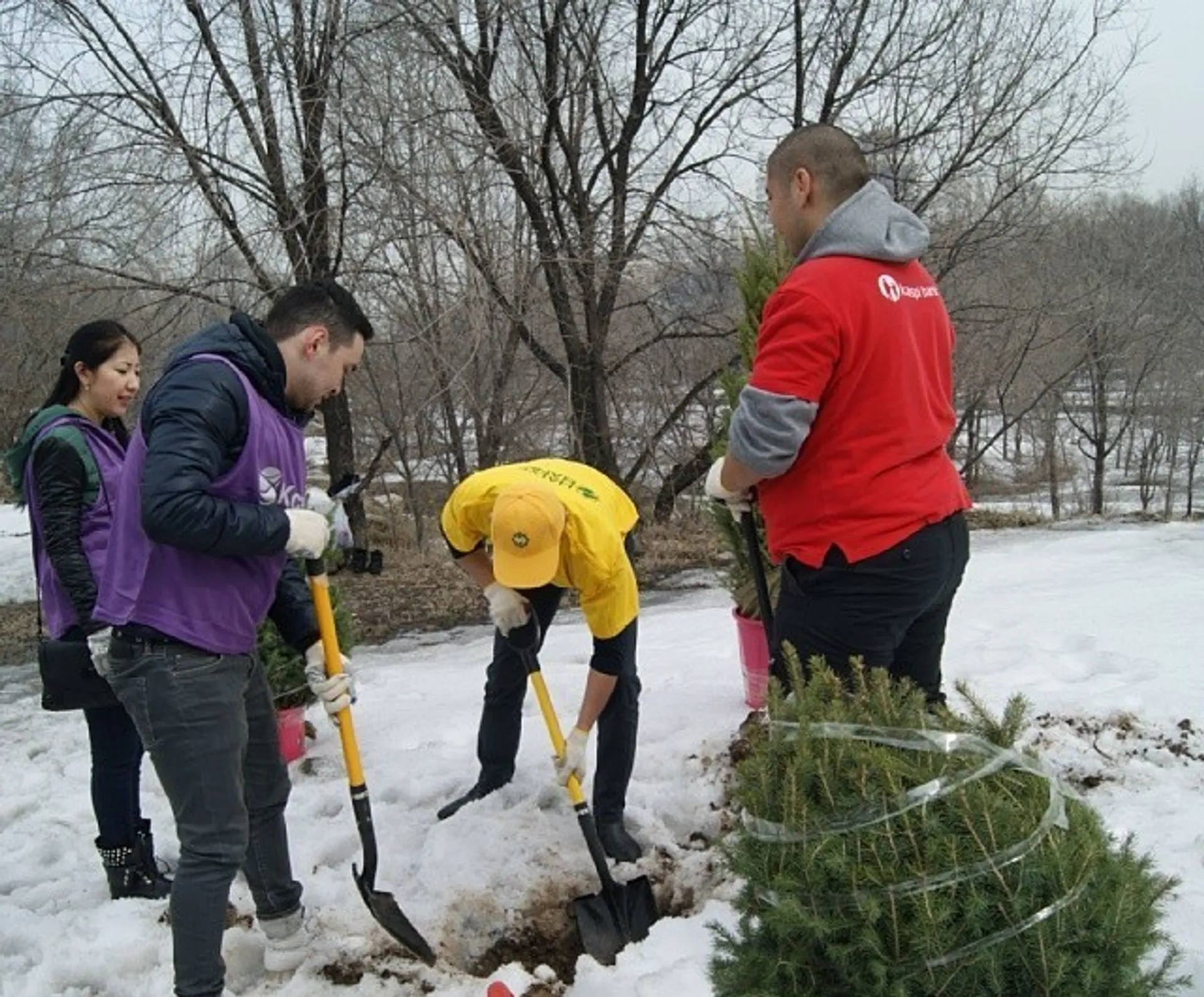 Капитал - Отправь SMS и посади дерево