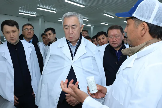 primeminister.kz