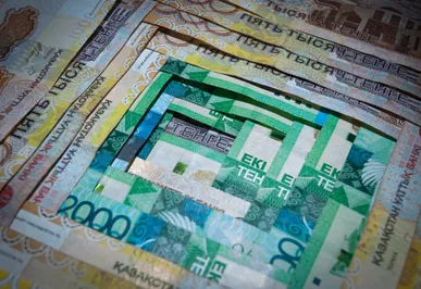 В Казахстане планируют ввести банкротство физлиц